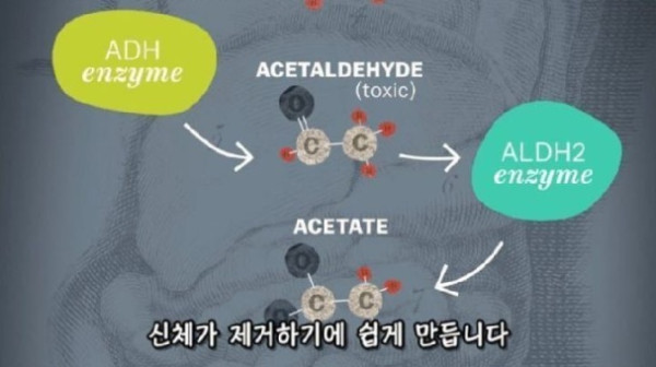 술 마시면 절대 안 되는 사람 특징