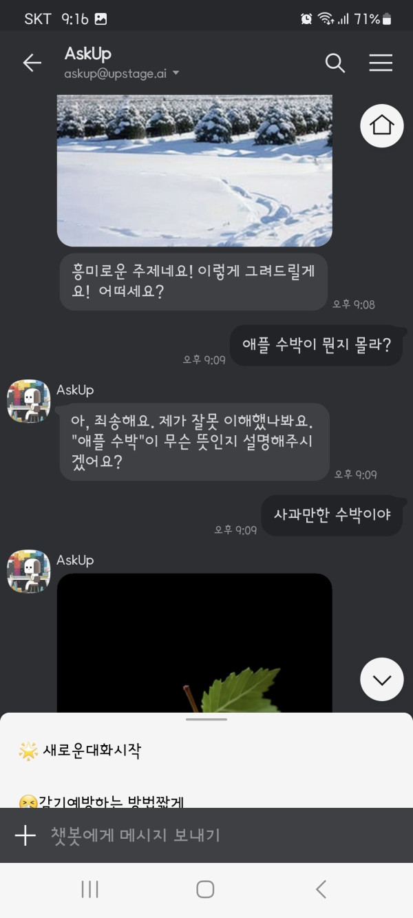 카카오 애스크업에게 그림을 그려달라 했습니다.