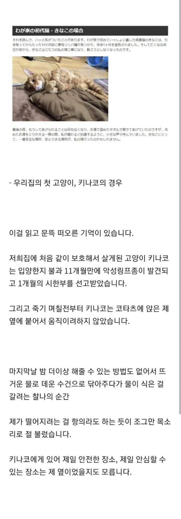 동물은 죽음의 공포를 이해하지 못한다?